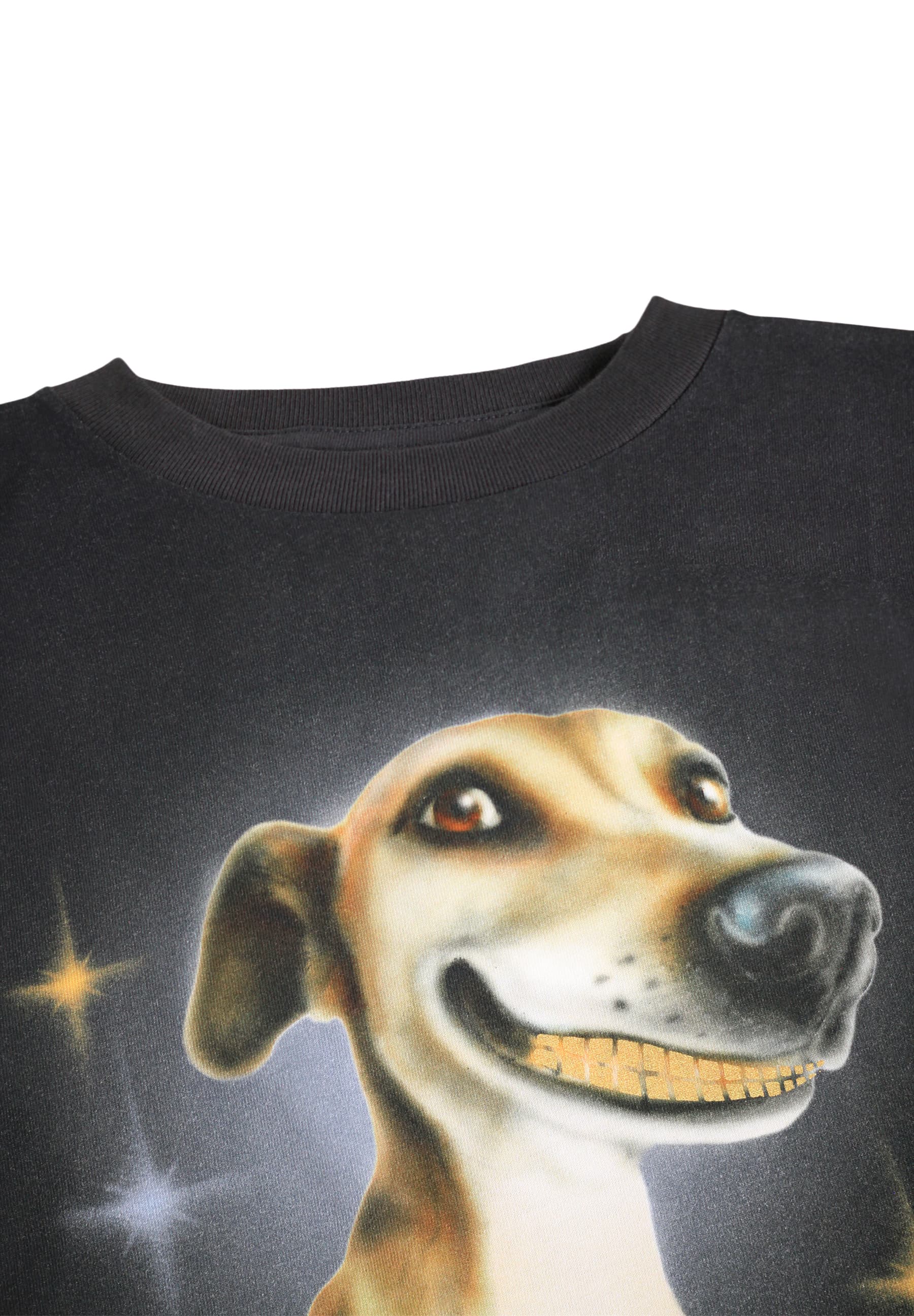 Molo Jungen Langarmshirt Rube schwarz mit Hunde-Print Golden Grillz