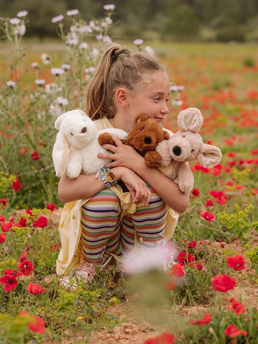 WWF Cub Club Bernard Bär 29cm braun süß flauschig Kuscheltiere WWF