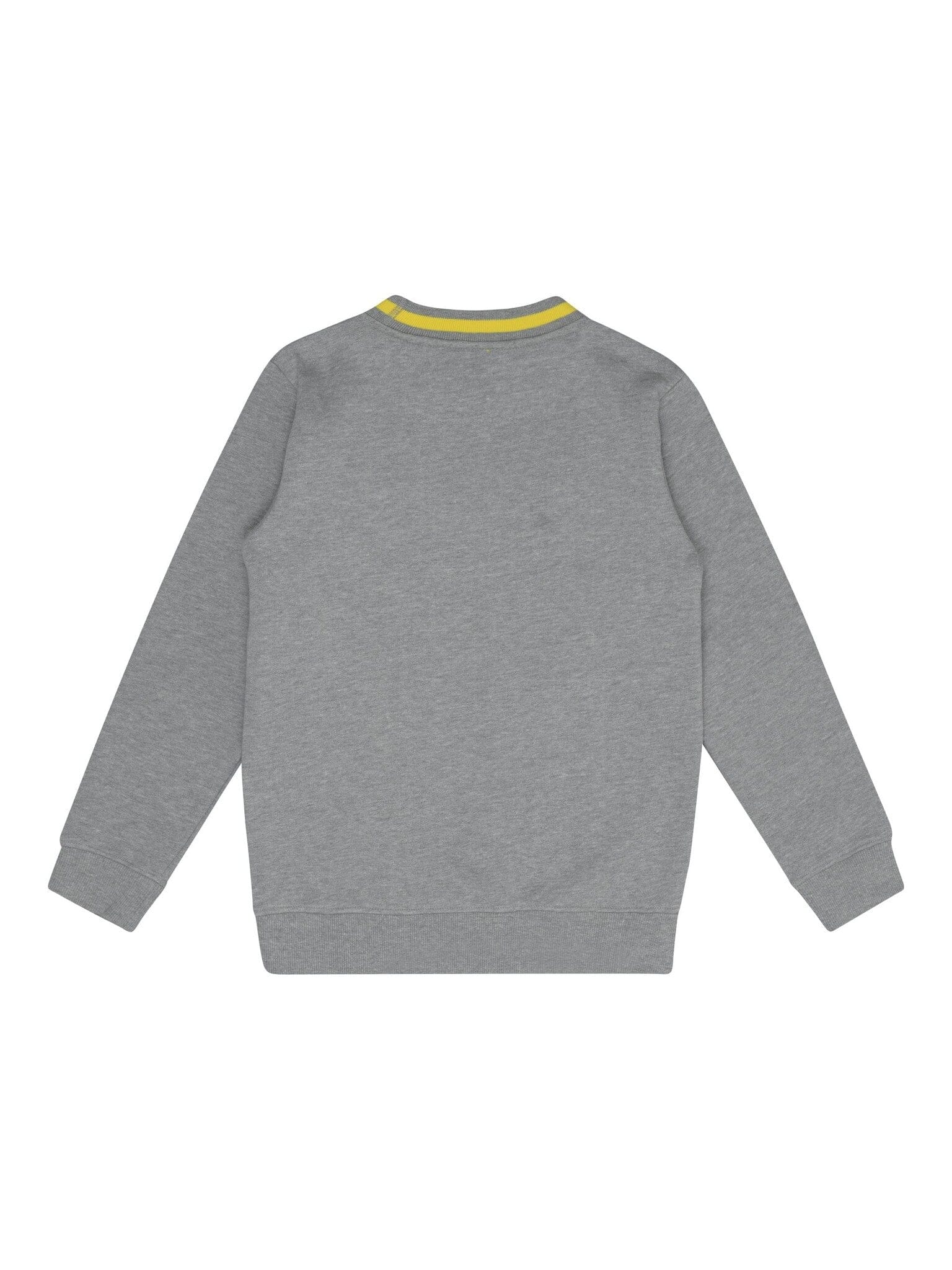 Automobili Lamborghini Sweatshirt Logoprint grau Sweatshirt AUTOMOBILI LAMBORGHINI KIDSWEAR