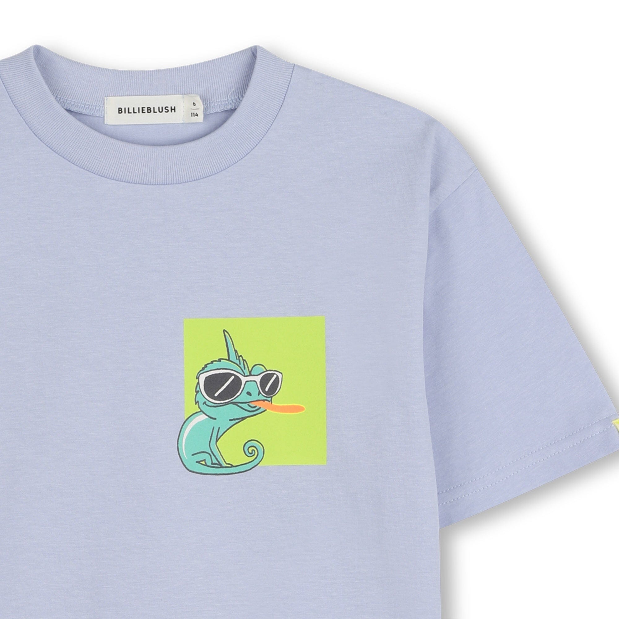 BILLIEBLUSH Jungen Kurzarm-T-Shirt – Fjord (Mini-Chamäleon) T-Shirt Billieblush