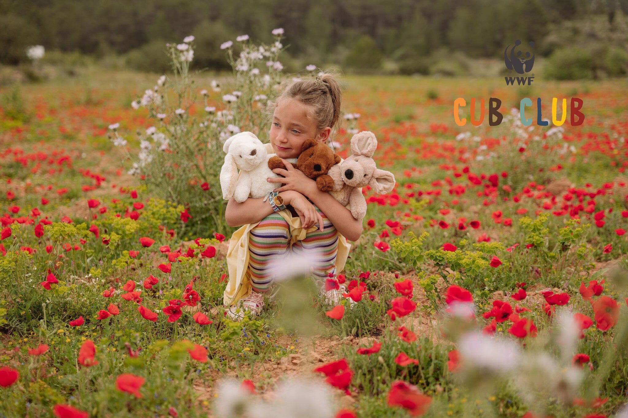 WWF Cub Club Robbert der Hase offwhite 29cm Kuscheltiere WWF