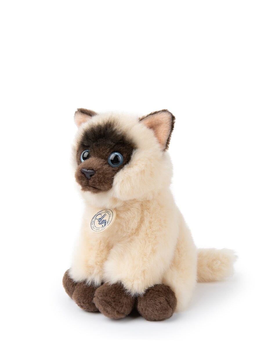 Bon Ton Toys x BT.CHAPS – Eddie die Siamkatze in Geschenkbox 17 cm Kuscheltiere Bon Ton Toys