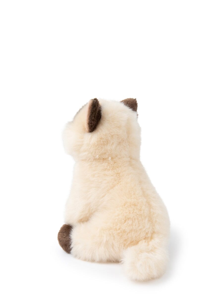 Bon Ton Toys x BT.CHAPS – Eddie die Siamkatze in Geschenkbox 17 cm Kuscheltiere Bon Ton Toys