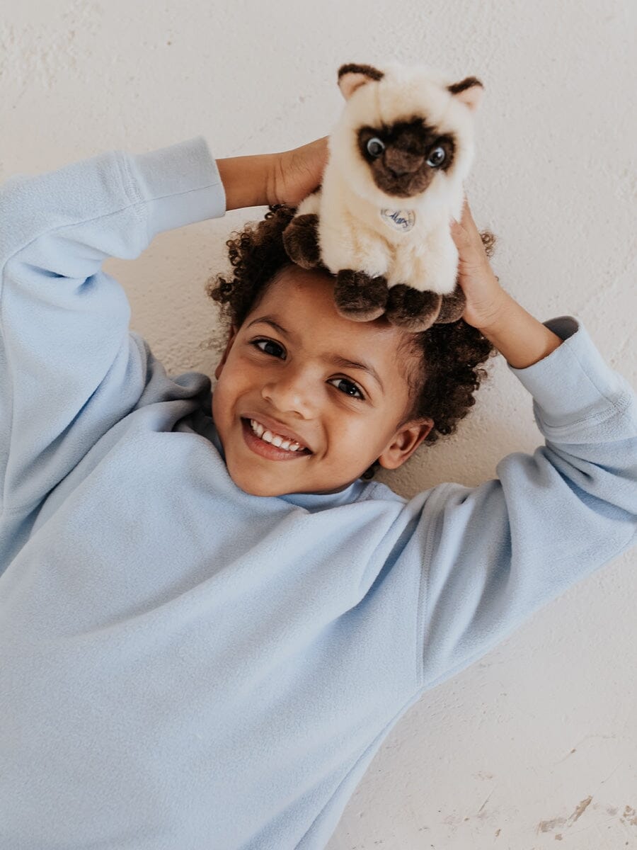 Bon Ton Toys x BT.CHAPS – Eddie die Siamkatze in Geschenkbox 17 cm Kuscheltiere Bon Ton Toys