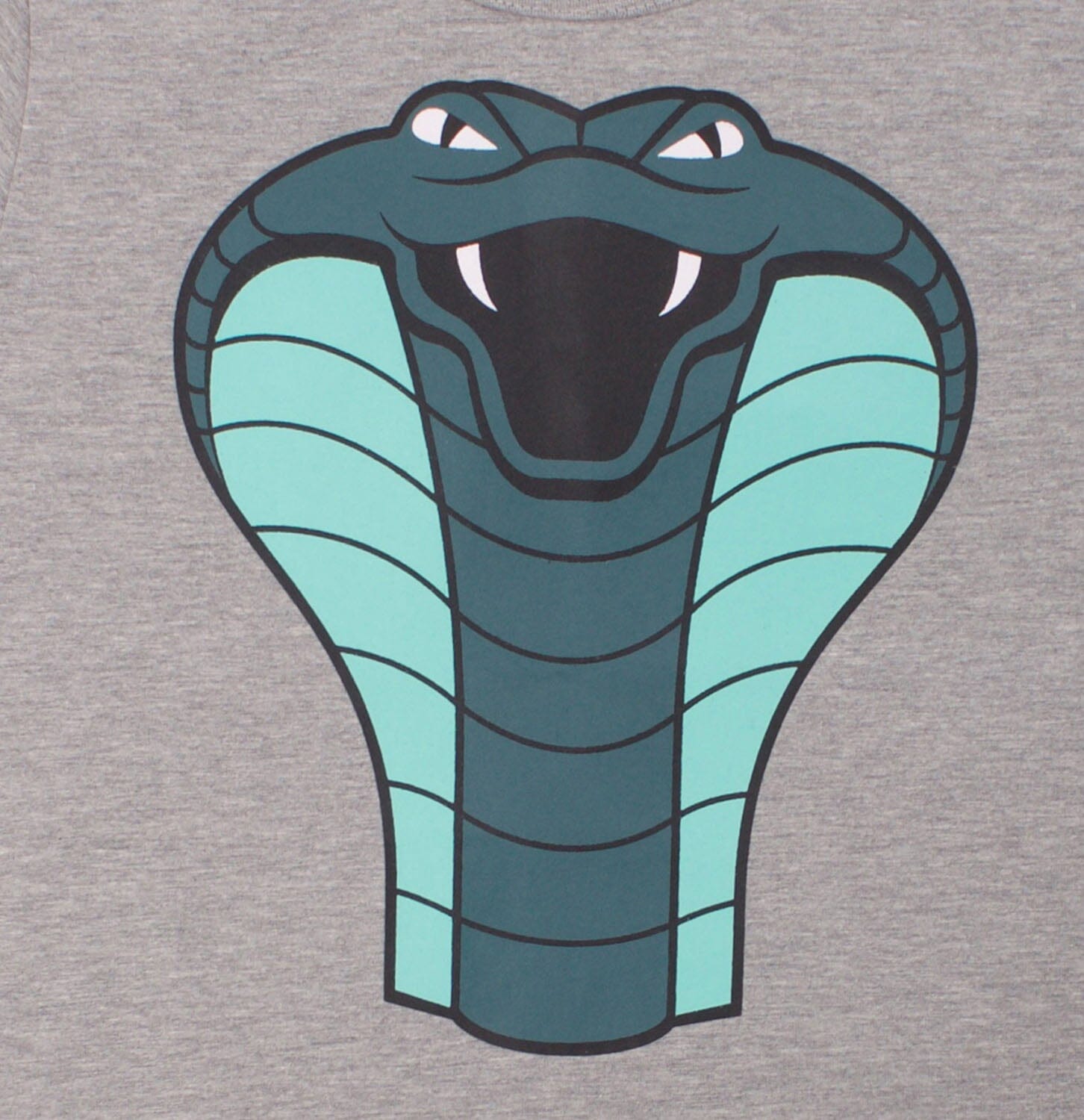 DYR by Danefae T-Shirt „Kobra“ grau T-Shirt Danefae