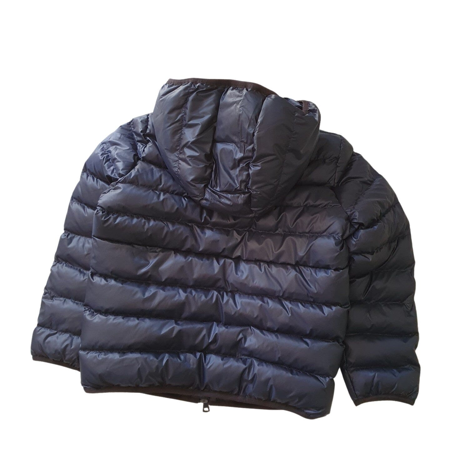 EA7 Emporio Armani Steppjacke Winterjacke mit Logo Jacke EMPORIO ARMANI