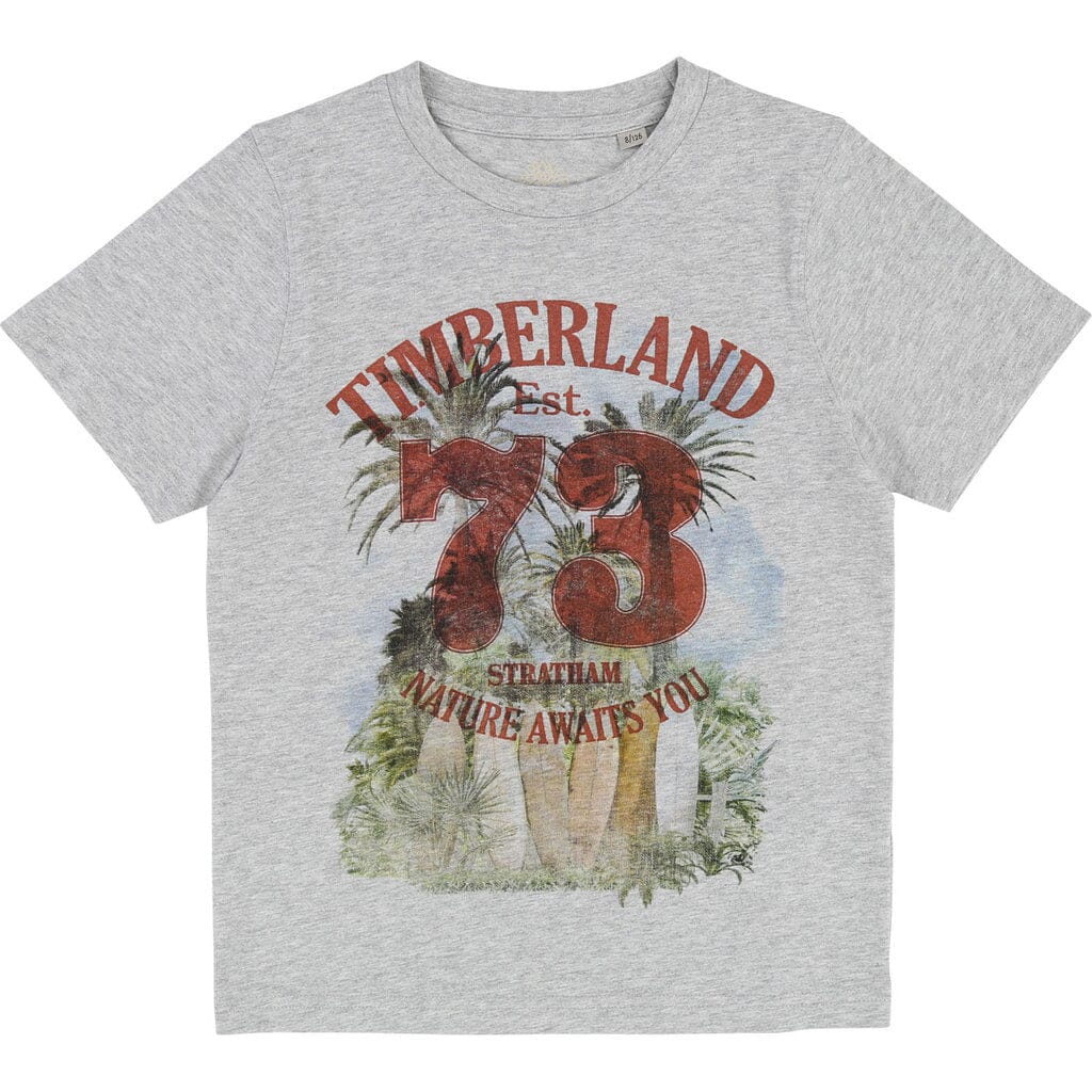 ´Timberland T-Shirt Stratham grau T-Shirt Timberland