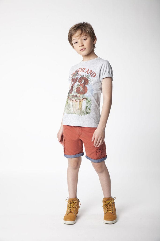 ´Timberland T-Shirt Stratham grau T-Shirt Timberland