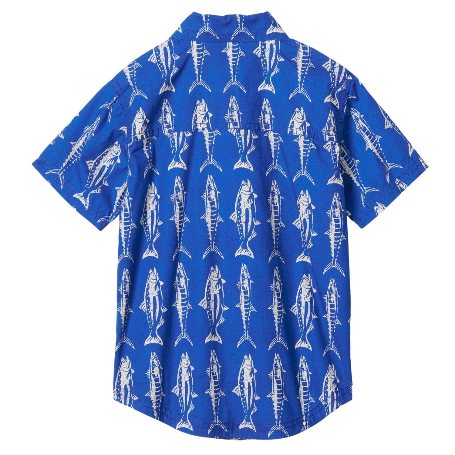 Hatley blaues kurzarm Hemd mit Knopfleiste Fisch Motiv T-Shirt Hatley