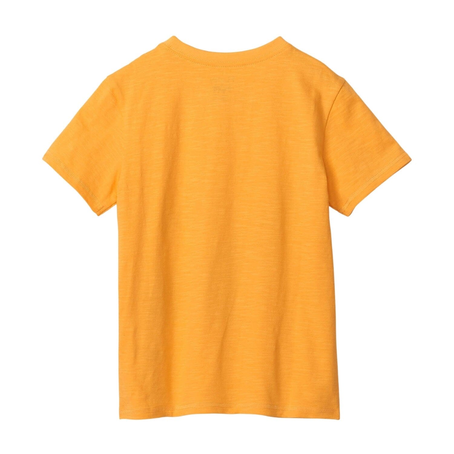 Hatley kurzarm T-Shirt Waal Motiv orange/gelb T-Shirt Hatley