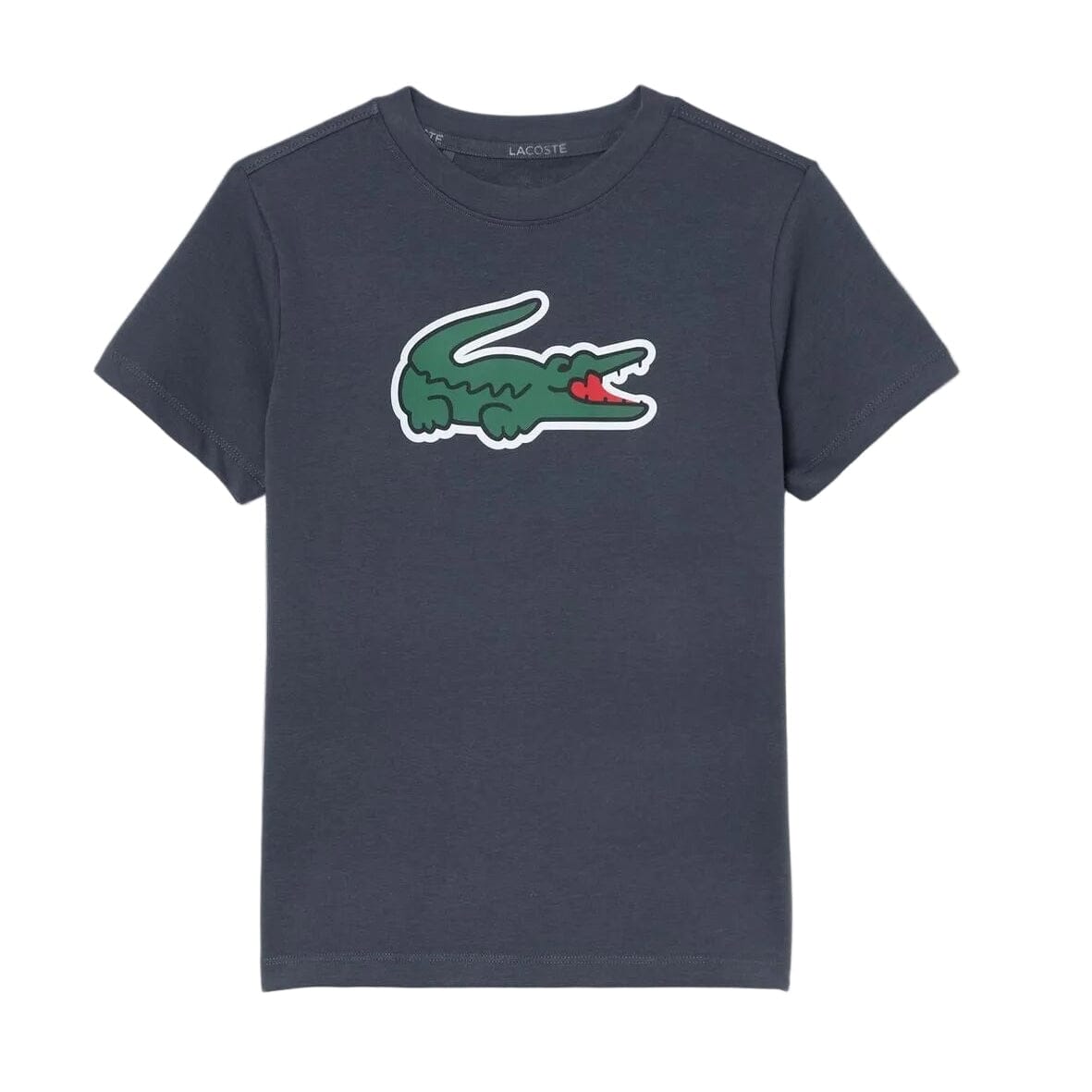 LACOSTE Kids T-Shirt „Big Croc“ – GRAPHITE dunkelgrau T-Shirt Lacoste 8 Jahre (122-128)