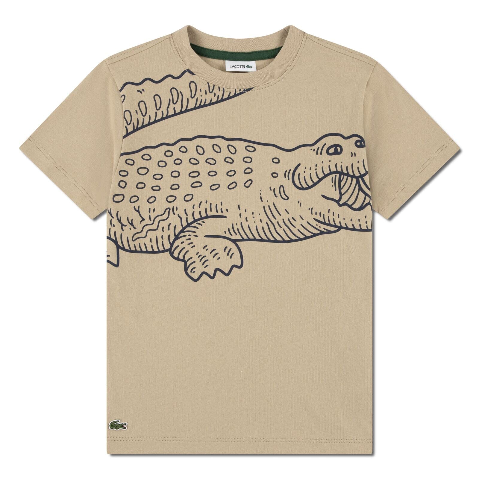 Lacoste Kids T-Shirt mit Krokodilprint – Jersey – Beige – Teen Boys 14–16 Jahre T-Shirt Lacoste 14 Jahre ( 158-164)
