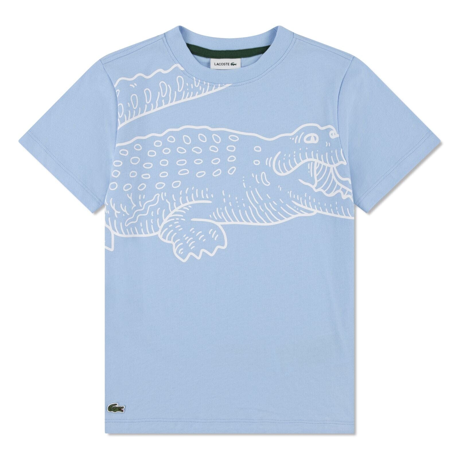 Lacoste Kids T-Shirt mit Krokodilprint – Jersey – Hellblau – Teen Boys 14–16 Jahre T-Shirt Lacoste 14 Jahre ( 158-164)