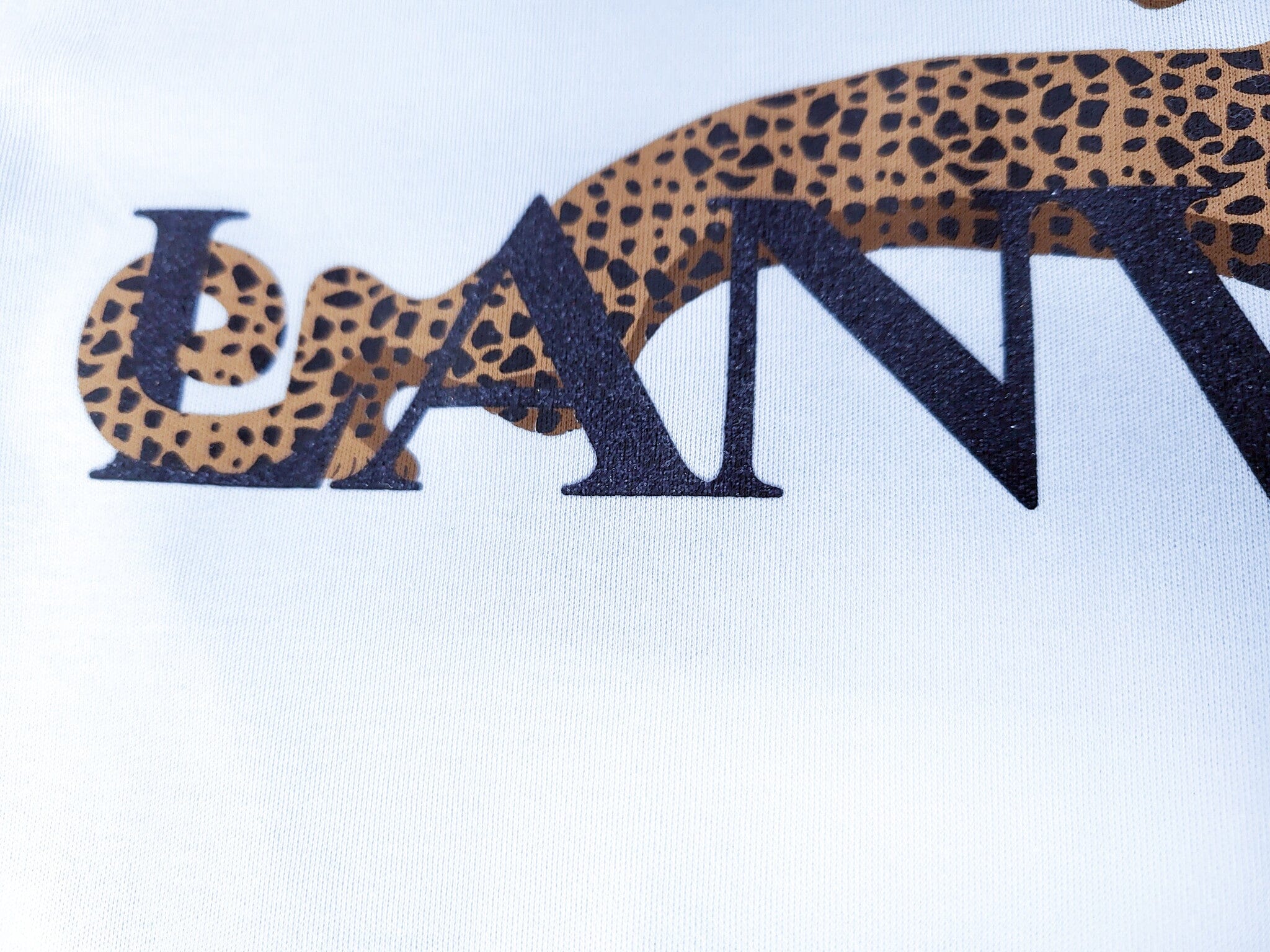 Lanvin Longsleeve hellblau mit Logo und Leopardenmotiv Rundhals Langarm Langarmshirt Lanvin