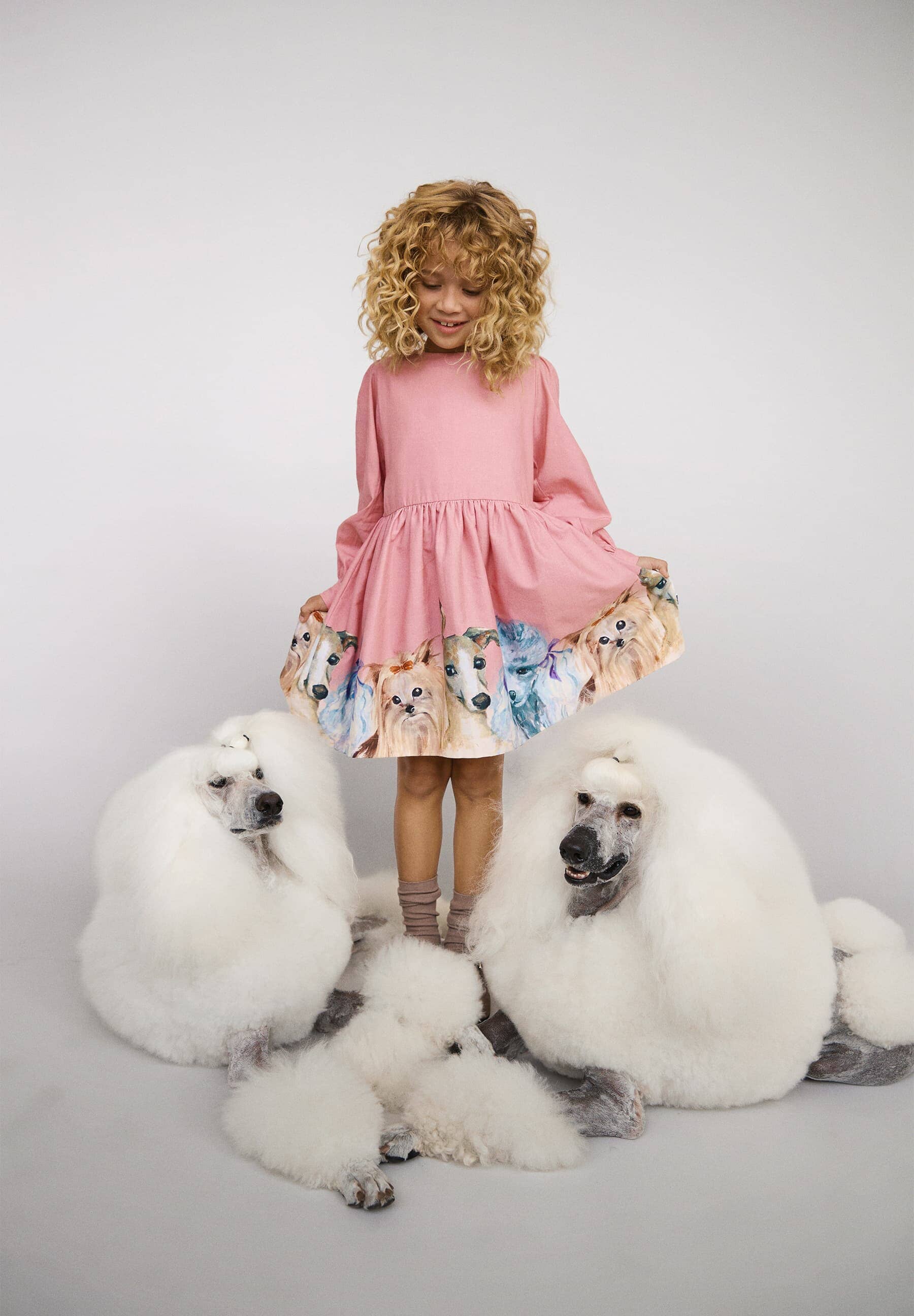 MOLO wunderschönes Kleid CLEO rosa mit Hundeprint Kleider MOLO