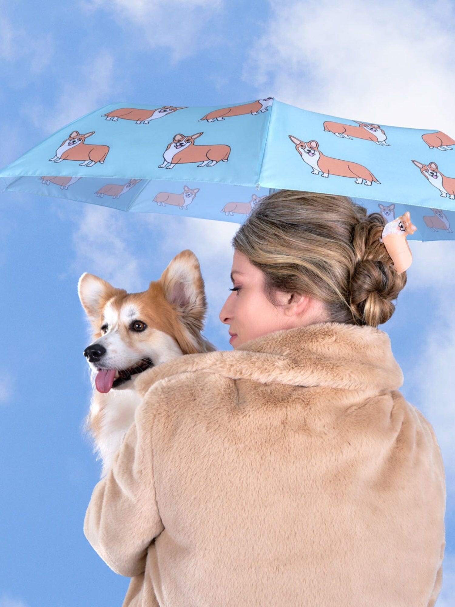 ORIGINAL DUCKHEAD EU Regenschirm mit Entenkopf - Coucou Suzette - Corgi Dog MintCopy Regenschirme ORIGINAL DUCKHEAD