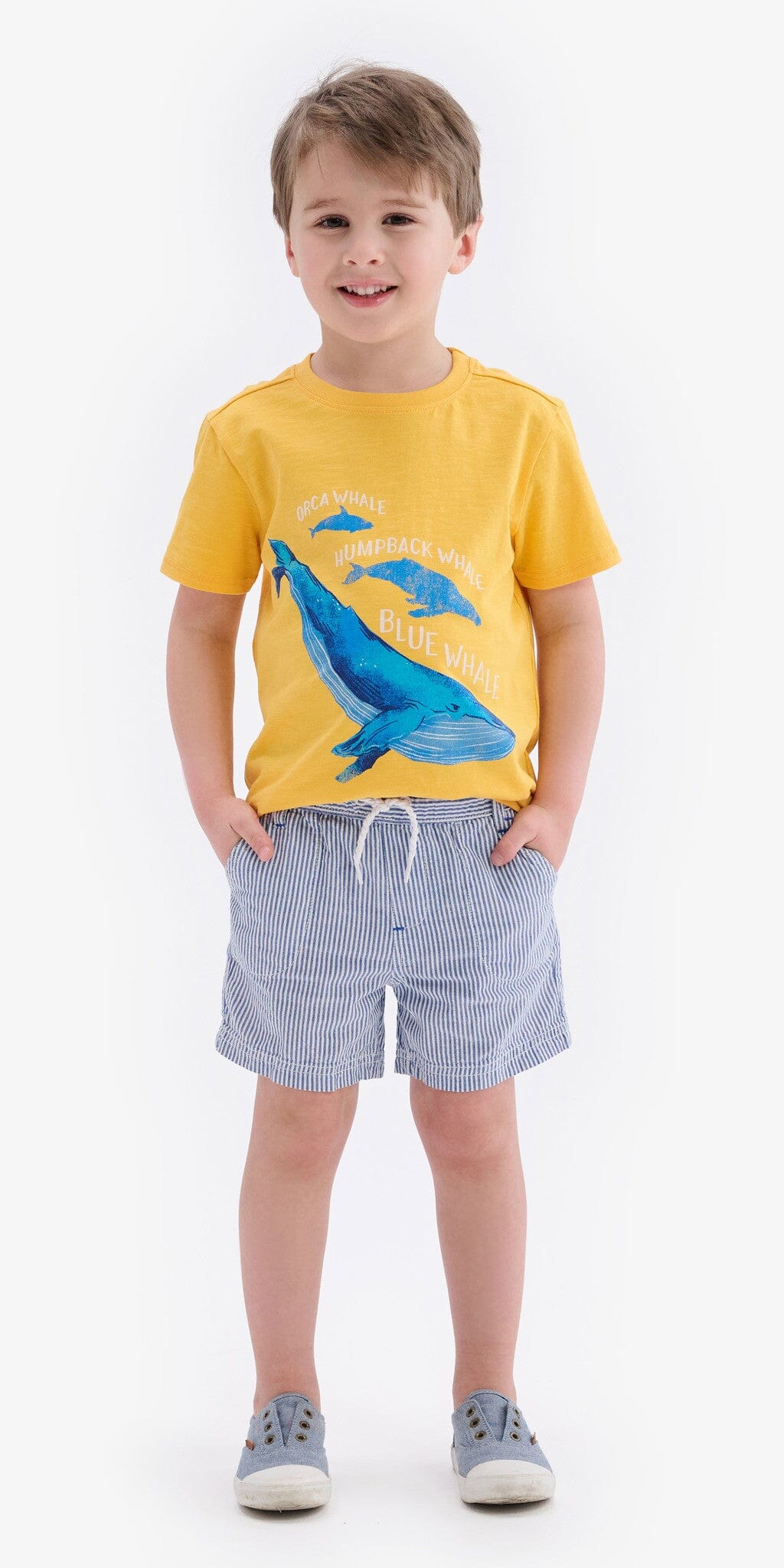 Hatley kurzarm T-Shirt Waal Motiv orange/gelb T-Shirt Hatley