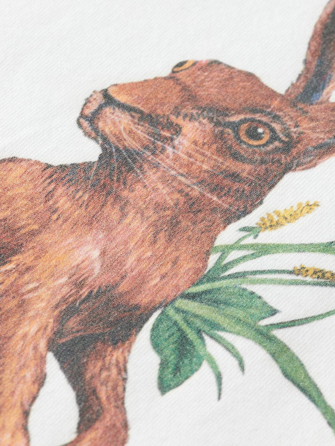 SCOTCH & SODA Kinder T-Shirt offwhite mit kunstvollem Hasenmotiv T-Shirt Scotch & Soda