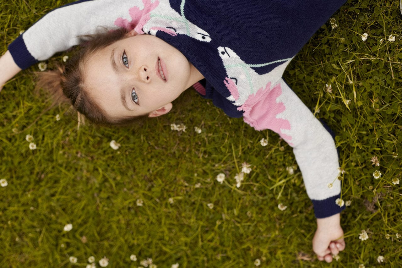 TOM JOULE Strickpullover Pferde blau Pullover TOM JOULE