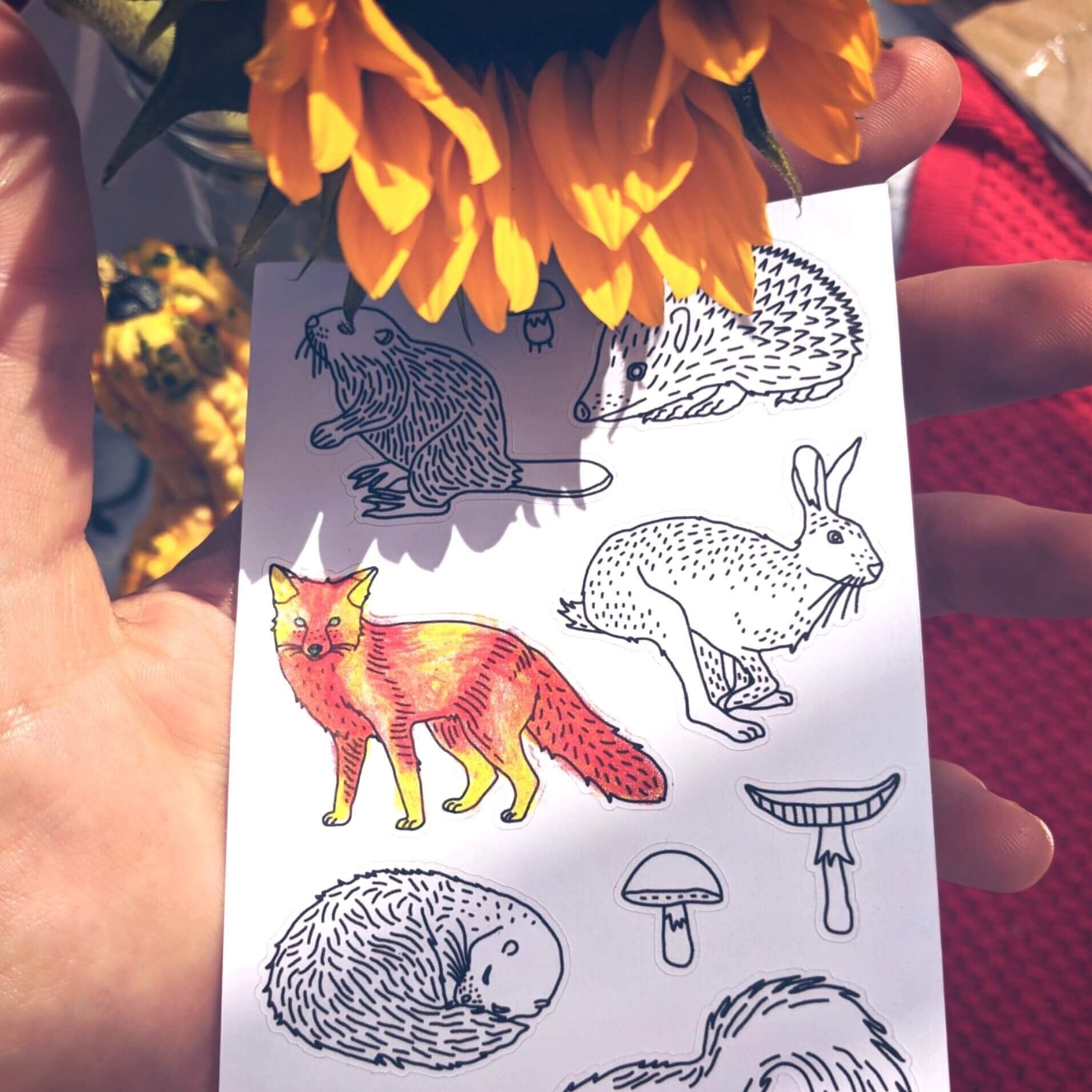 Anna Grunduls Design Forest Animals Coloring Stickers Sticker / Aufkleber Anna Grunduls Design 