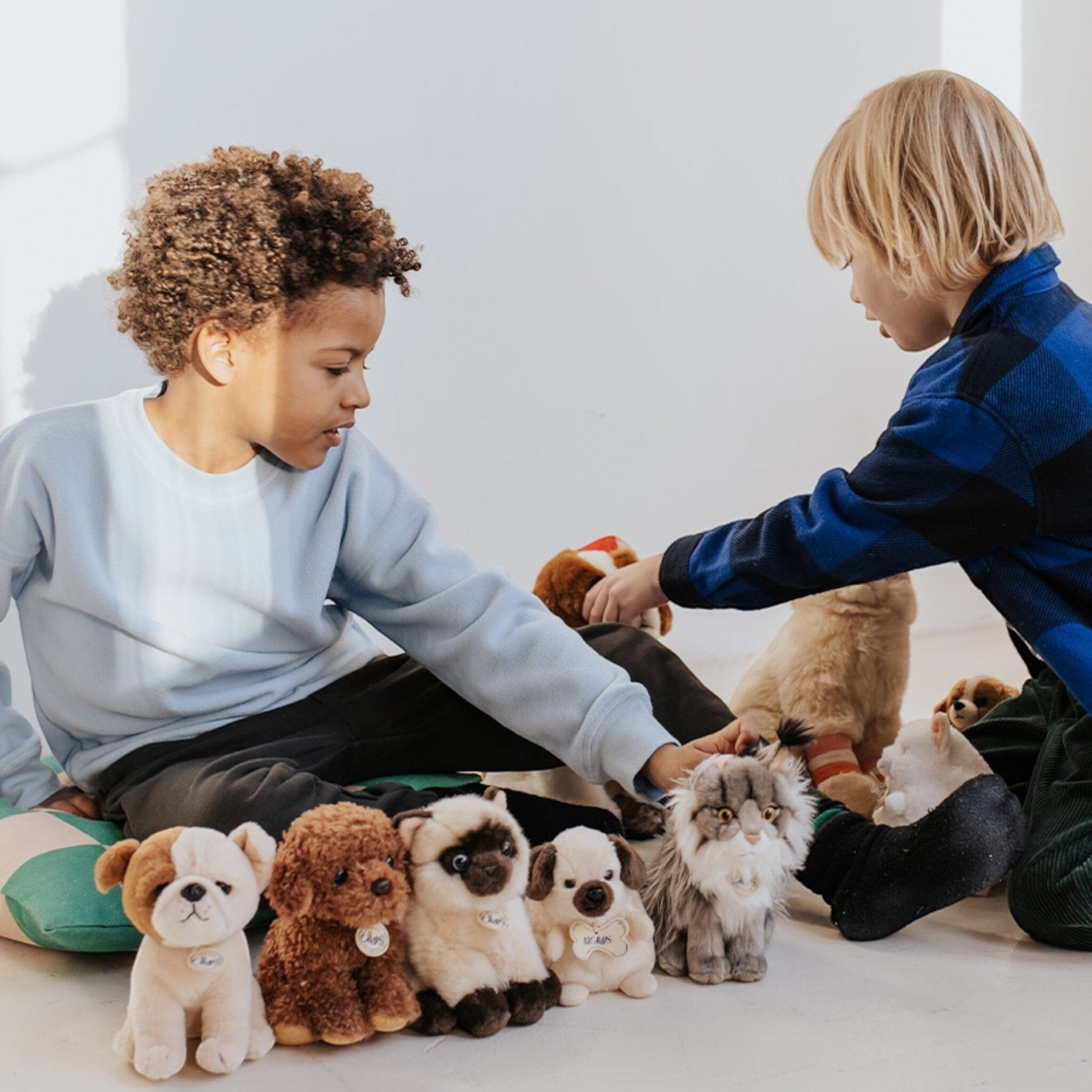 Bon Ton Toys x B.T. Chaps Bertha American Bulldogge in Geschenkbox – 17 cm Kuscheltiere Bon Ton Toys x BT.CHAPS 