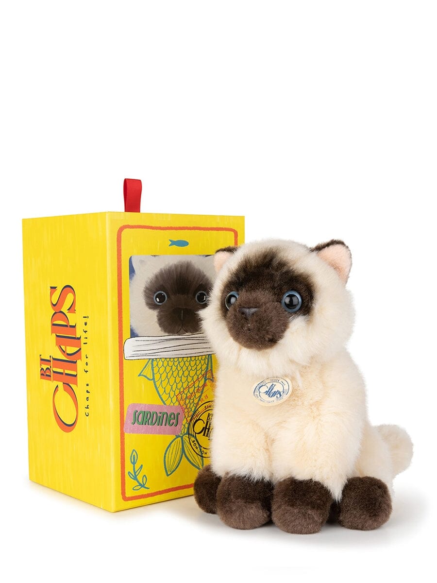Bon Ton Toys x BT.CHAPS – Eddie die Siamkatze in Geschenkbox 17 cm Kuscheltiere Bon Ton Toys 