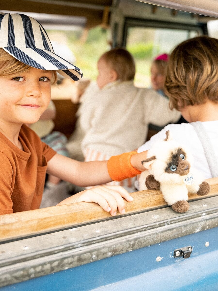 Bon Ton Toys x BT.CHAPS – Eddie die Siamkatze in Geschenkbox 17 cm Kuscheltiere Bon Ton Toys 