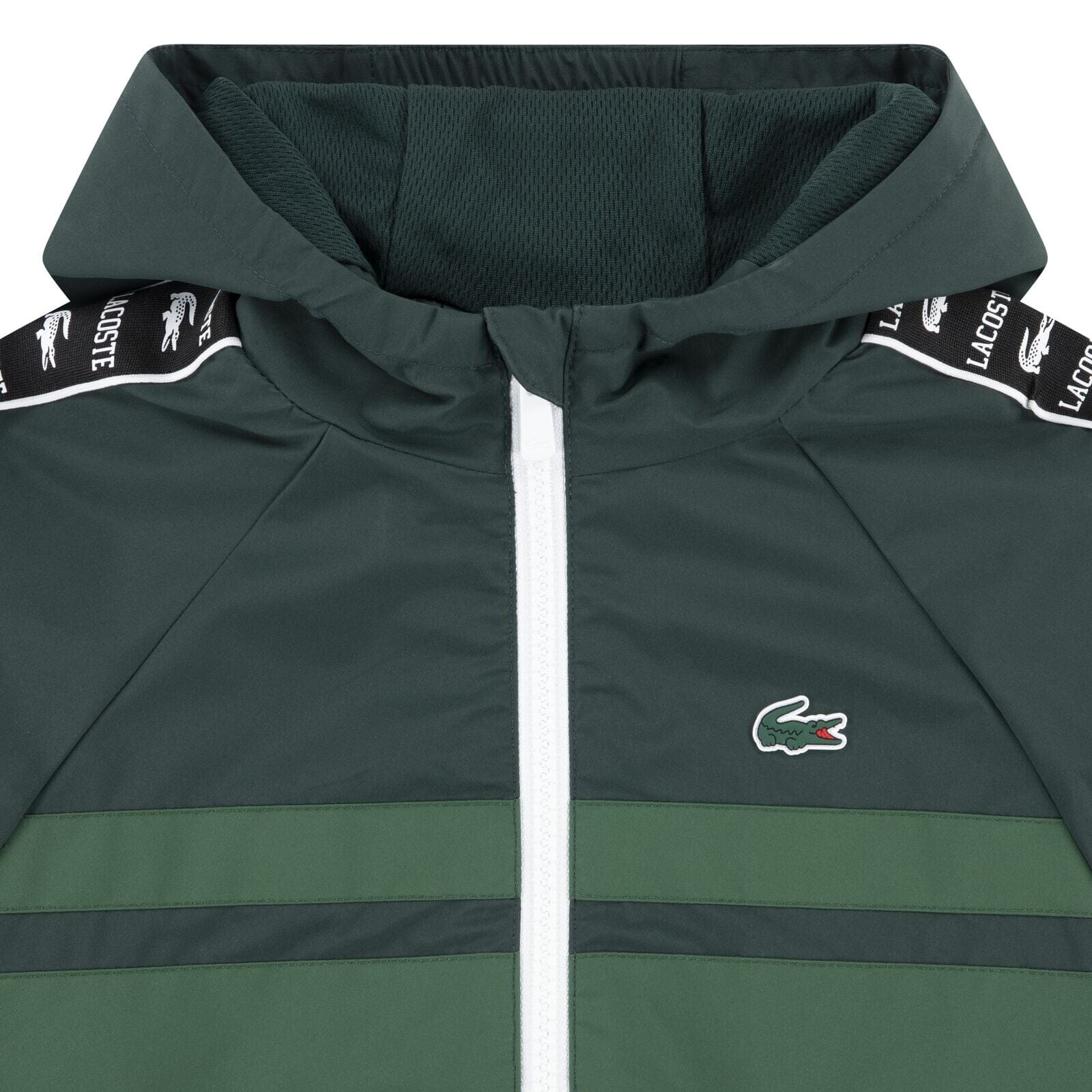 Lacoste Kids Jacke grün mit Kapuze leicht, mit Logostreifen Jacken und Mäntel Lacoste 