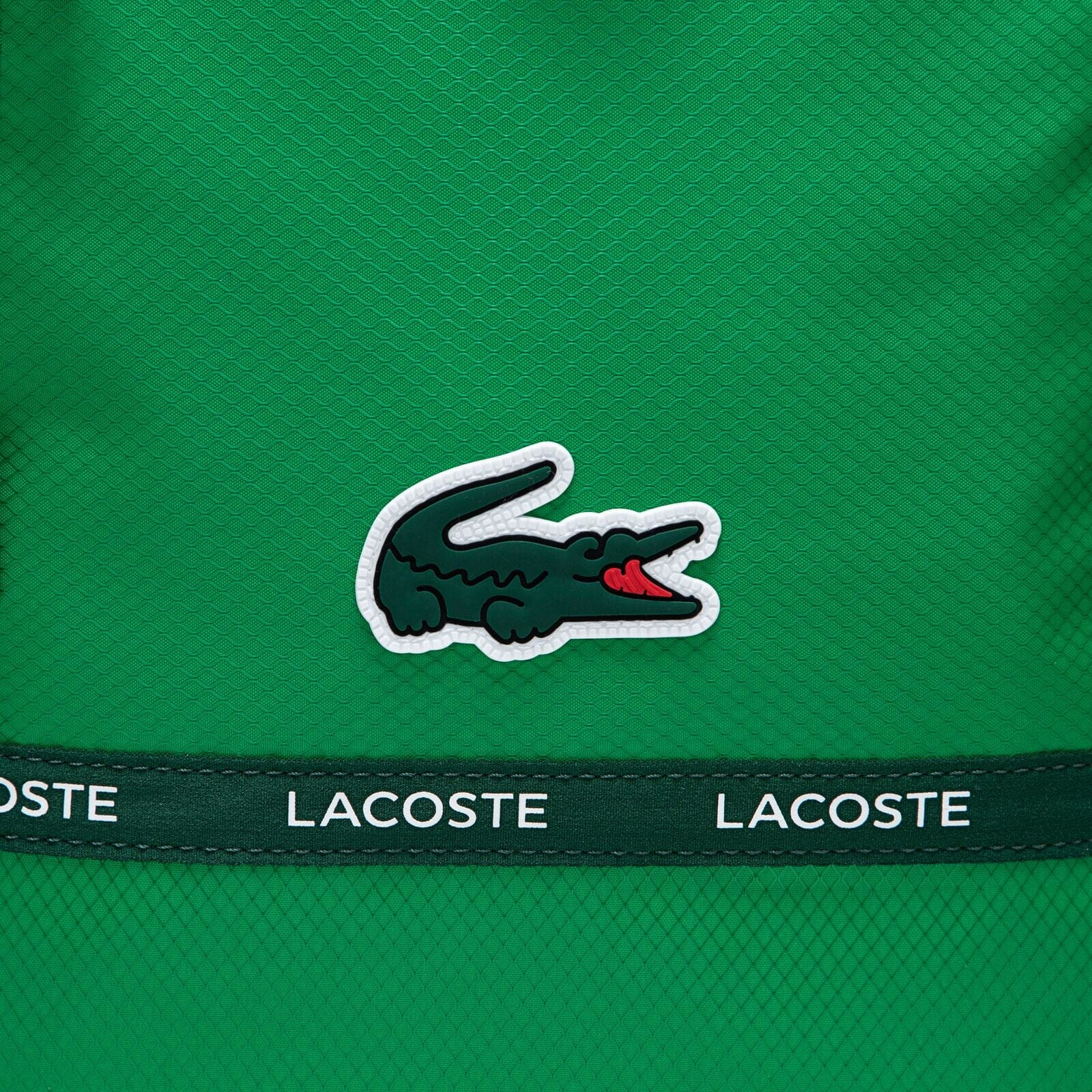 Lacoste Kids Rucksack grün aus recyceltem Material mit Krokodil-Patch Rucksäcke Lacoste 