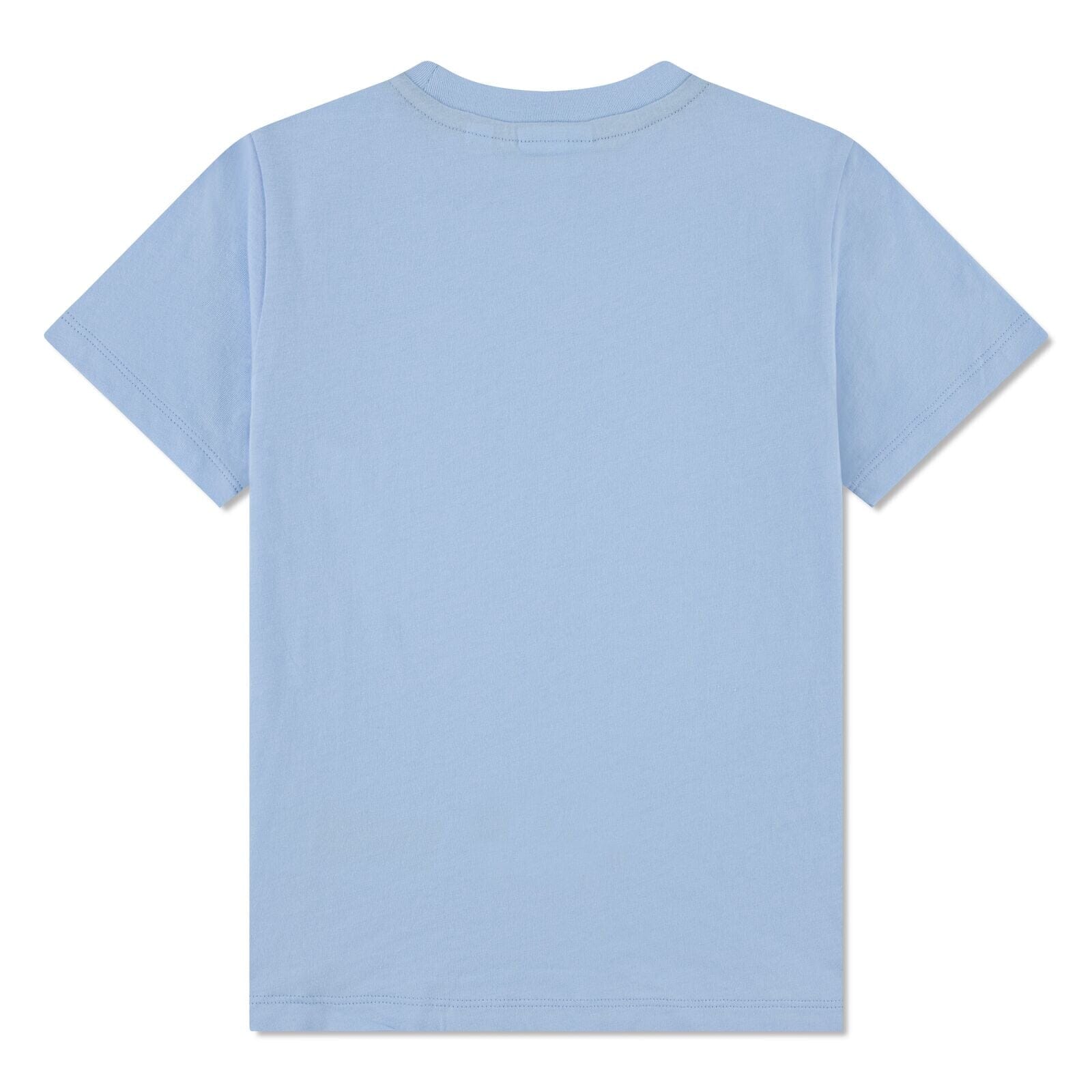 Lacoste Kids T-Shirt mit Krokodilprint – Jersey – Hellblau – Teen Boys 14–16 Jahre T-Shirt Lacoste 