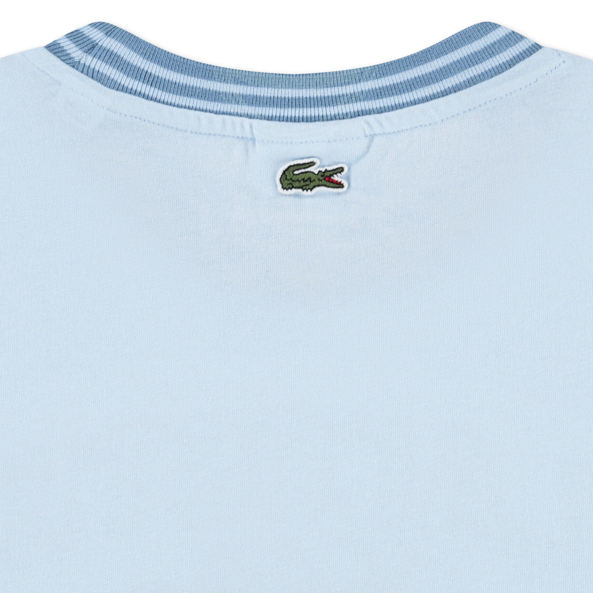 Lacoste Kinder T-Shirt RUISSEAU hellblau mit Logo und Schriftzug T-Shirt Lacoste 