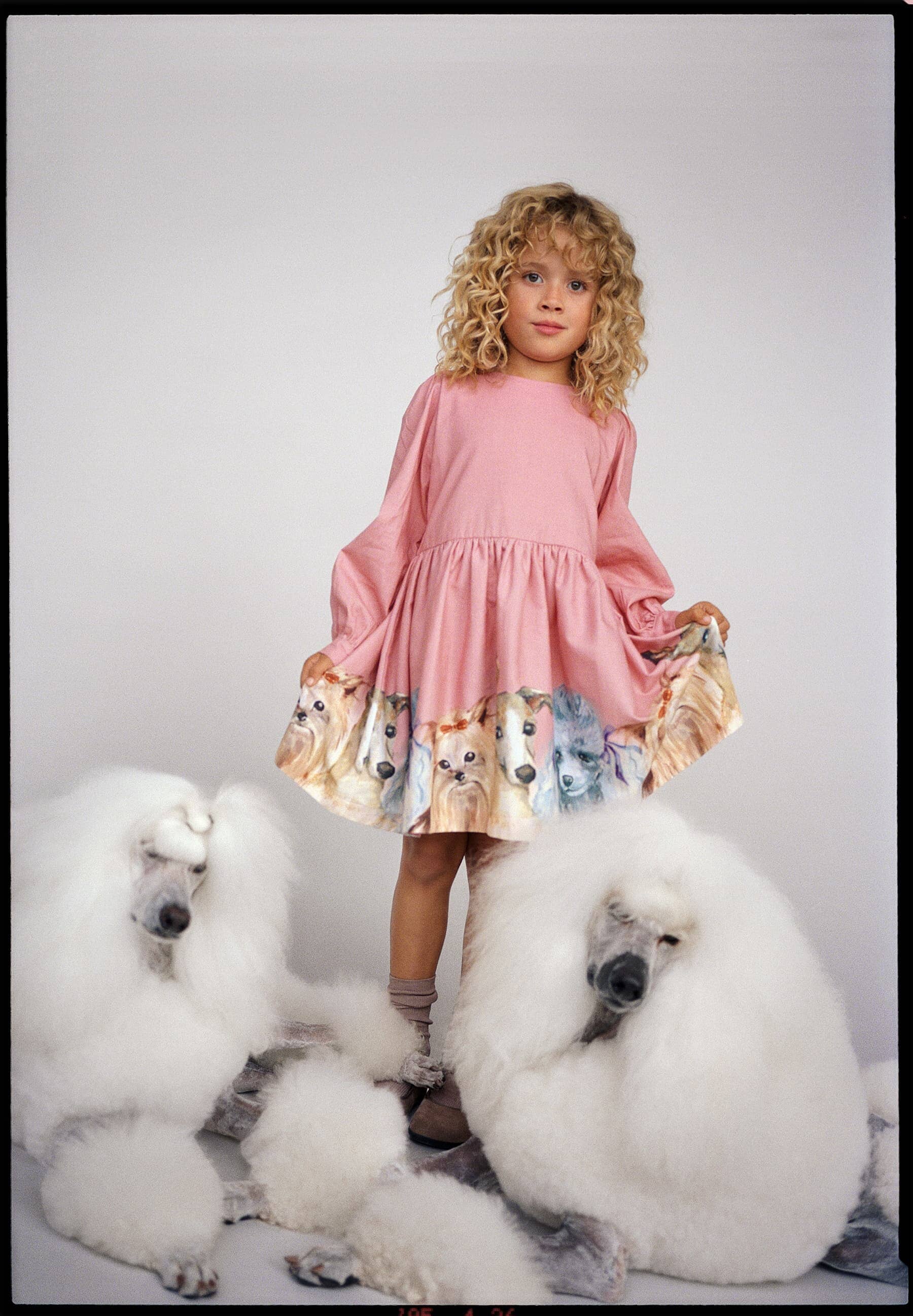 MOLO wunderschönes Kleid CLEO rosa mit Hundeprint Kleider MOLO 