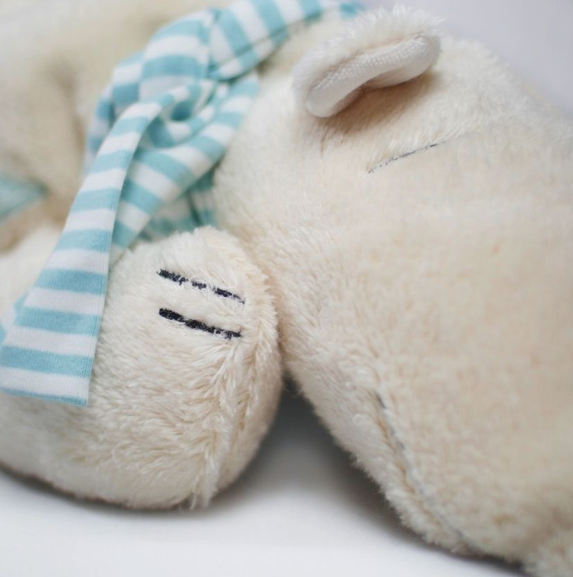 Pat & Patty Bio Kuschelkissen "Eisbär" 53cm ´mit Dinkelfüllung Wärmekissen Pat & Patty 