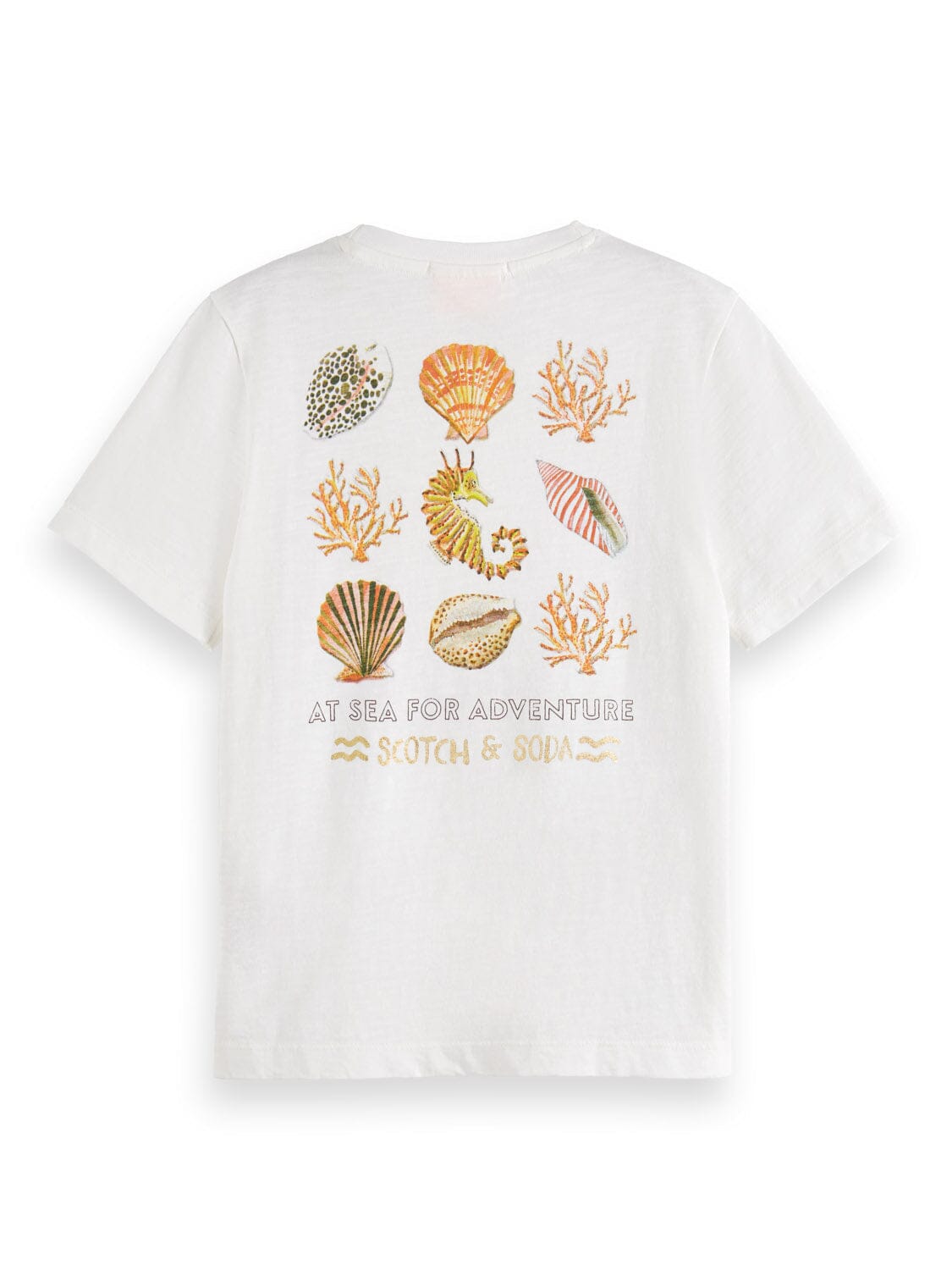SCOTCH & SODA Kinder T-Shirt offwhite Seepferdchen Rückenprint maritim Meer T-Shirt Scotch & Soda 
